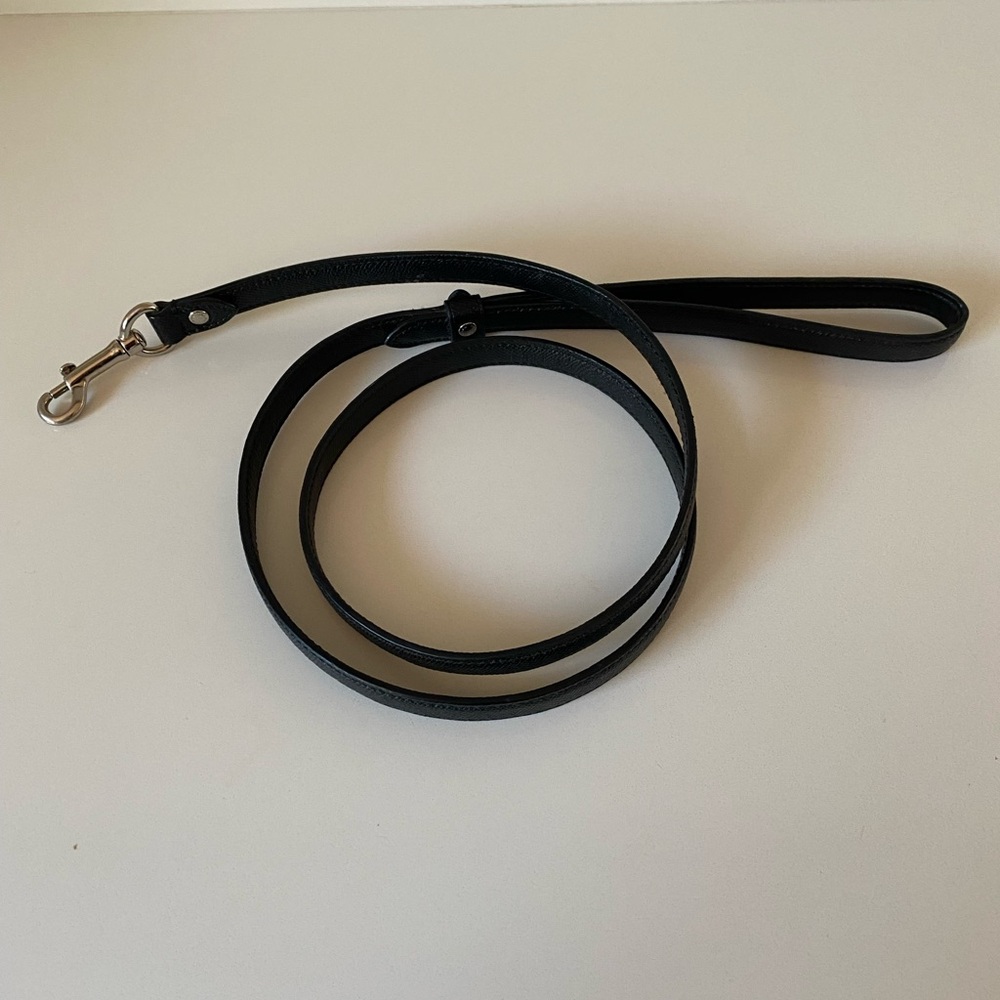 Dog Leash